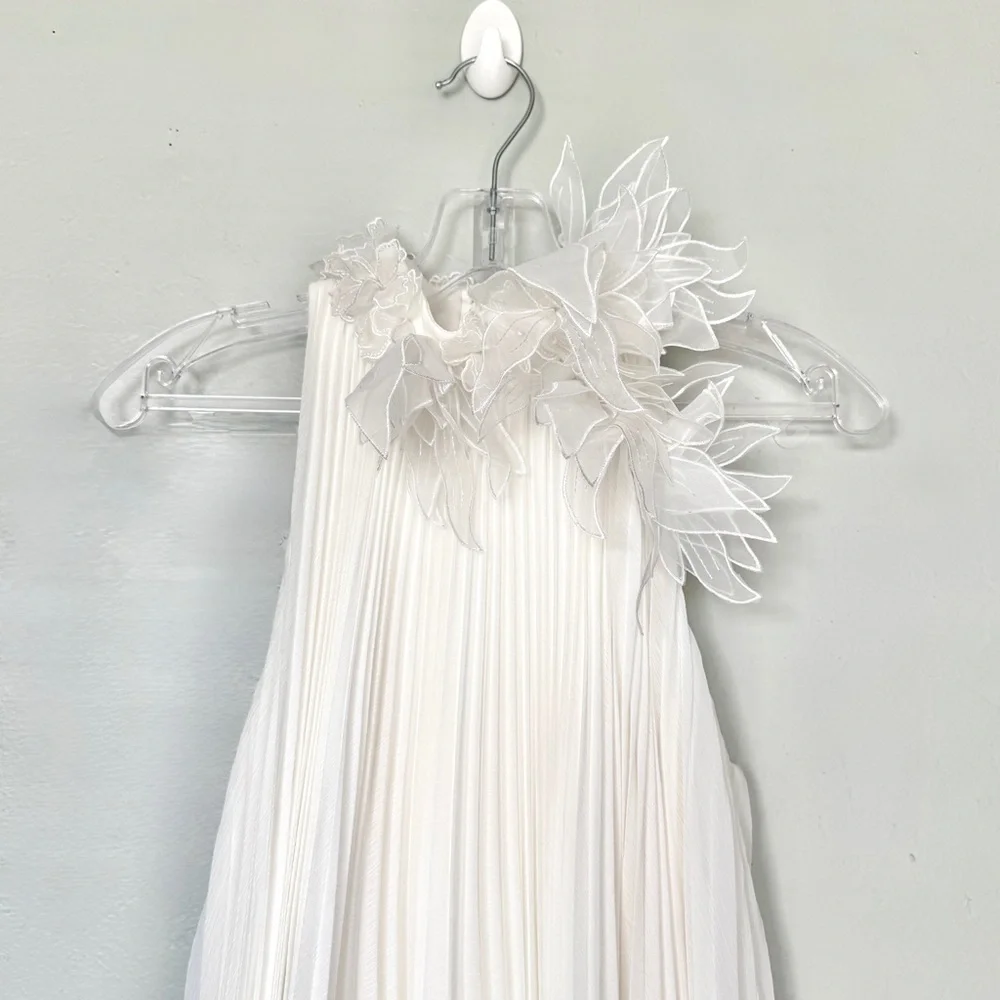 Tadashi Shoji Ivory Pleated Trapeze Chiffon Midi Dress Size XS - Picture 3 of 13